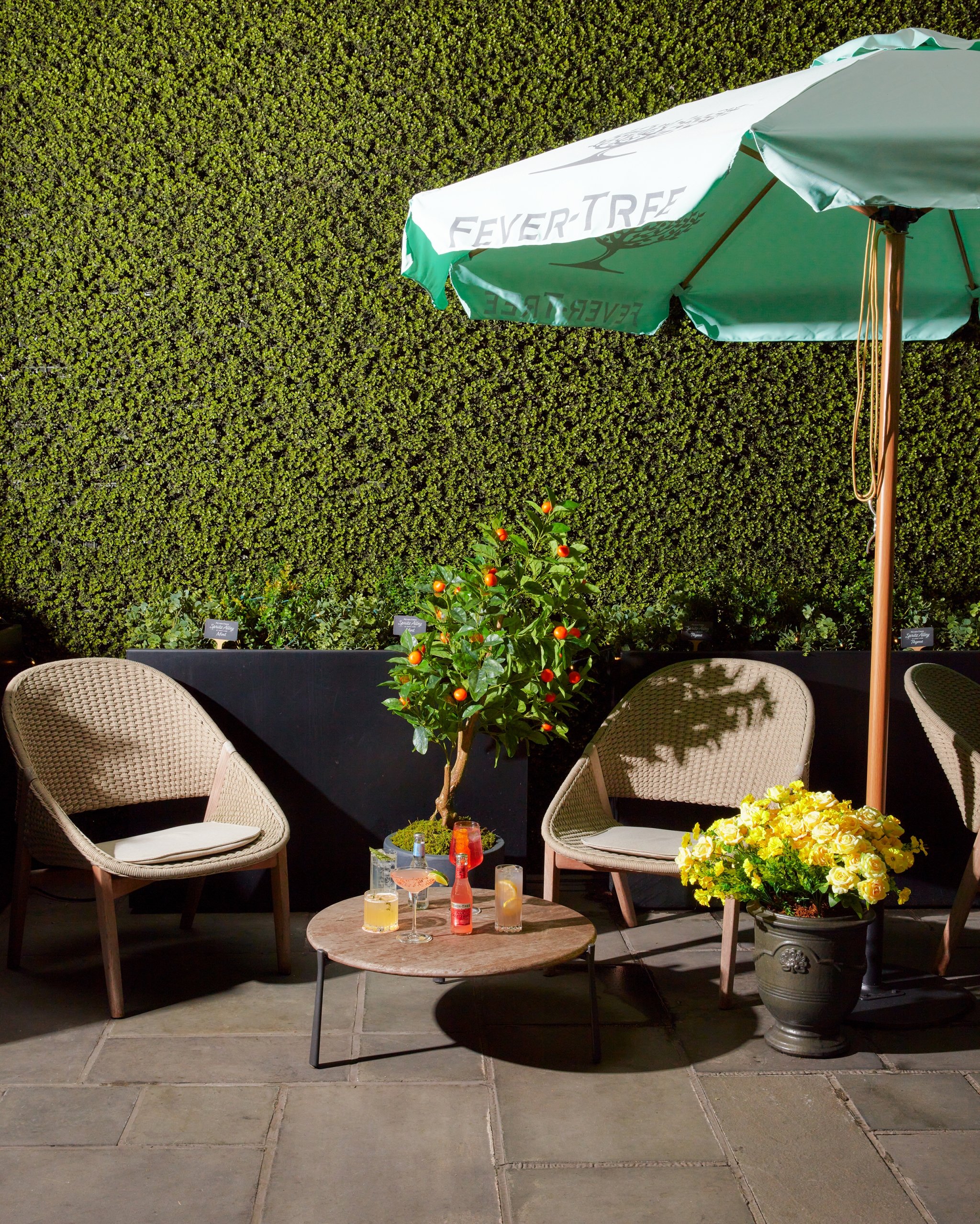 An outdoor seating area with a plant wall behind it.