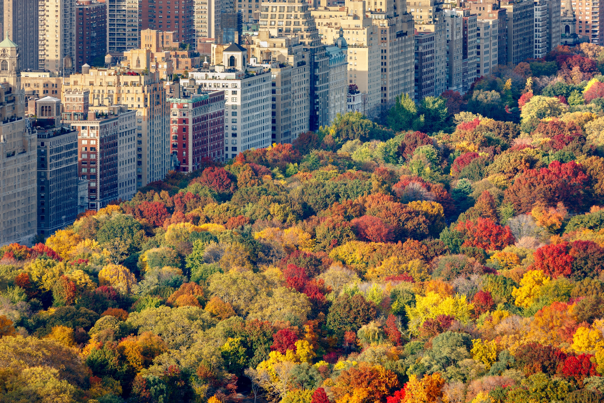 view of central park in the autumn from The Park Lane Hotel New York